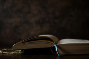 8549_1_book-lukesblog.it