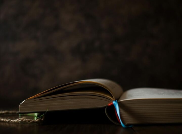 8549_1_book-lukesblog.it